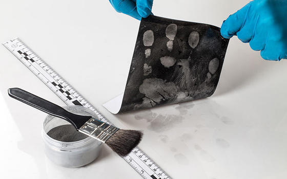 Curso de Criminología en Madrid Máster en criminalística